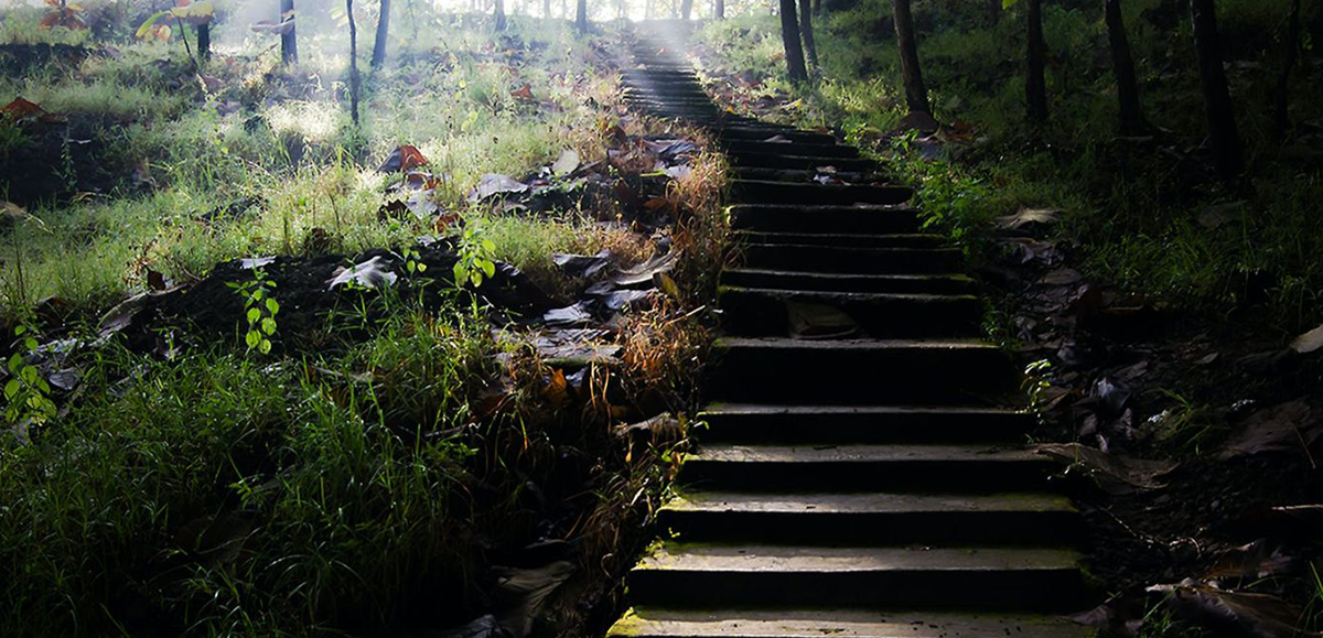 Untitled-1
